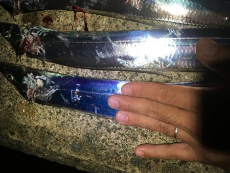 まずまずだぬぇ〜