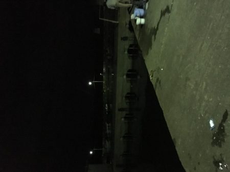 アジ サバ 大漁