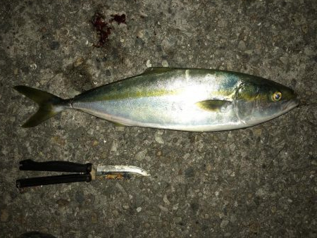 ありがとう、おじさん