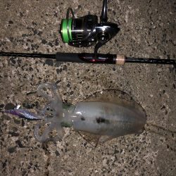 台風の前の静けさ