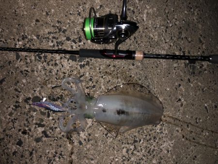 台風の前の静けさ