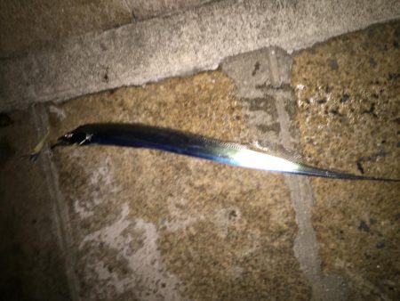 久々のブルブル！