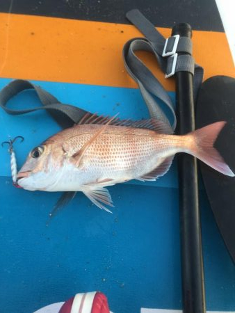 Supフィッシング