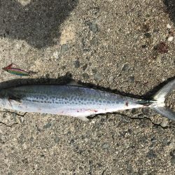 淡路島まで初遠征。