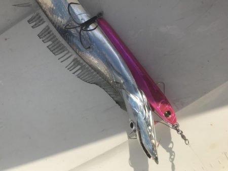 タチウオジギング