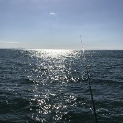 キジハタ狙いが…