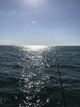 キジハタ狙いが…