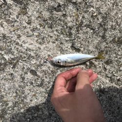 久々のメンバーで