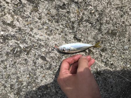 久々のメンバーで