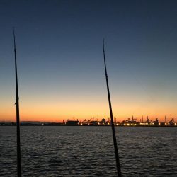 のませビギナーズラック！