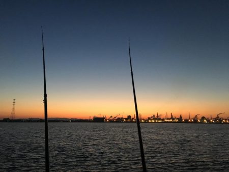 のませビギナーズラック！