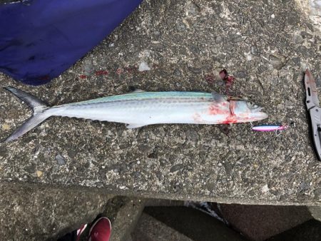 最近よくジグをなくす…