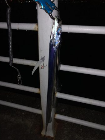 タチウオ ルアー