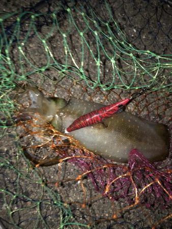 赤坂海岸で2時間