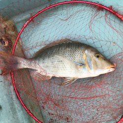 庄門丸伝馬船にて