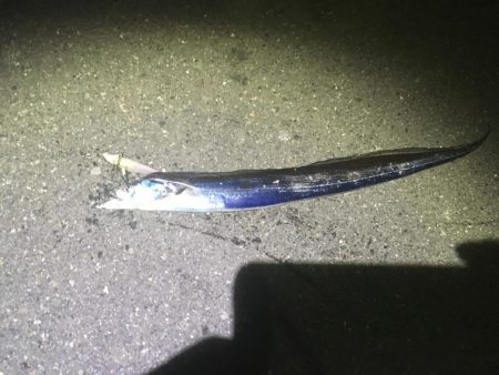 ワインド楽しい