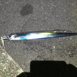 まだまだ行きます！