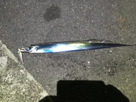 まだまだ行きます！