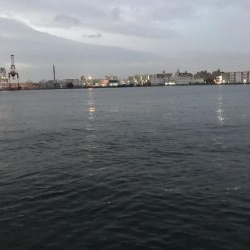 呑ませ釣りのつもりが