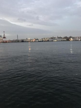 呑ませ釣りのつもりが