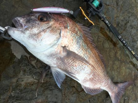 強風プラッギング