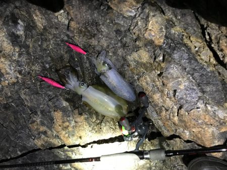 失った餌木…んぐ