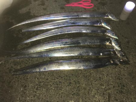 西宮浜太刀調査