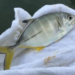 トホホなメッキと嬉しいおまけ