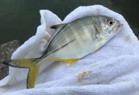 トホホなメッキと嬉しいおまけ