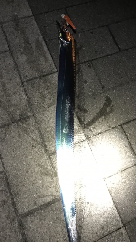 シーサイドコスモ 21:00〜