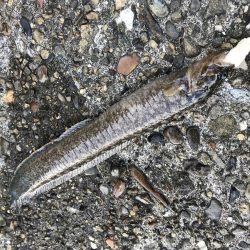 最後の最後に…