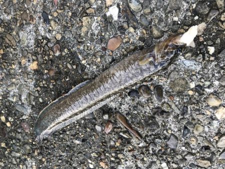 最後の最後に…