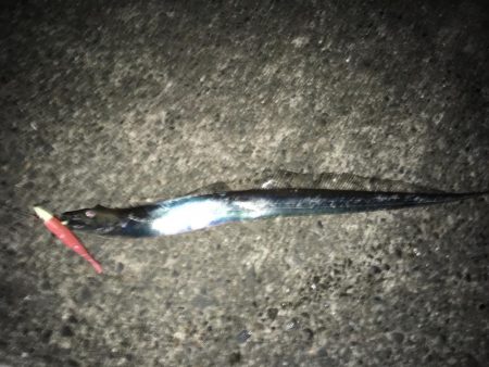 やっと湾の奥に入ってきた！