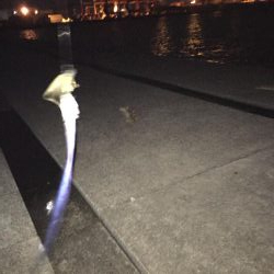 初!ポーアイ沖堤防へ!IP26で黒鯛釣れる!!.