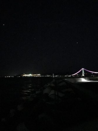 太刀魚しぶかー