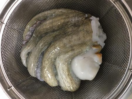 ちょい投げでタコ