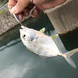 出勤前に五目！