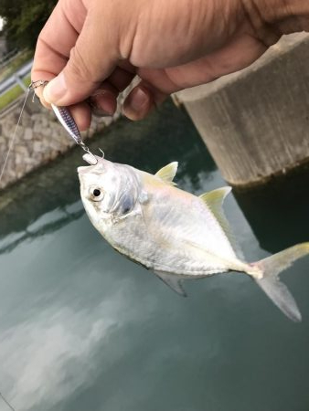 出勤前に五目！