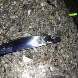 軽い気持ちでしたが、、