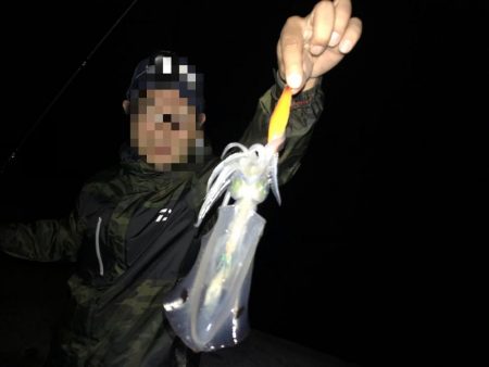 秋の大エギング大会