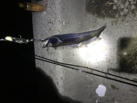 サクッとタチウオ