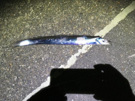 まだまだいける！刀狩り