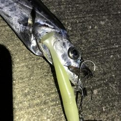 そして今宵も晩飯のおかずを求めて