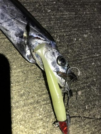 そして今宵も晩飯のおかずを求めて