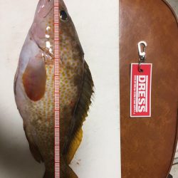 台風後ショアジギング!!