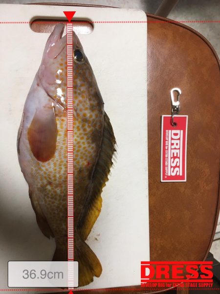 台風後ショアジギング!!