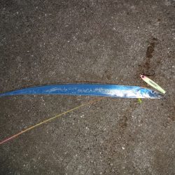 メタルジャッカーのモニターに得ればれて気合いは充分なのですが空回り!