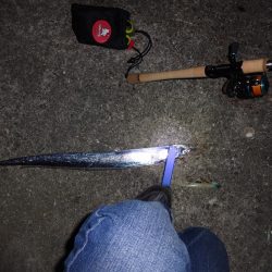 久し振りのケイソン人がいっぱいで自分の行きたいポイントには入れませんでした。