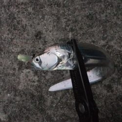 短時間勝負！！