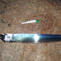 色々掛かって楽しい1日